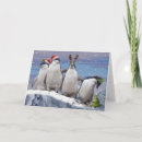 Search for cute penguin christmas cards Birds