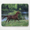 Search for thoroughbreds mousepads Standing