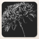 Recherche de plantes bar Bouquet