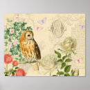 Recherche de petit hibou posters Pour elle