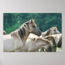 Recherche de herde posters Horse