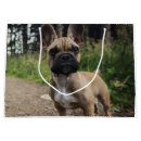 Search for french bulldog gift bags Pet