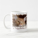 Search for gingers mugs Cats
