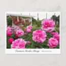 Search for common stamps postcards Flower