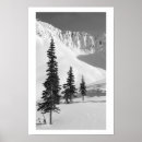 Search for slide posters Photography