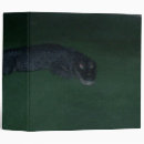 Search for alligators binders Animal