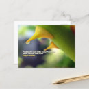 Recherche de nature avec des citations cartes postales Motivation