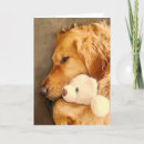 Search for dog get well cards Pet