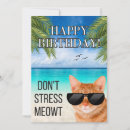Recherche de cool cat vœux cartes Humour