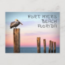 Recherche de pélicans cartes postales Plage