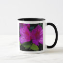 Search for eggers mugs North america