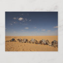Search for north africa postcards Tourism