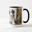Search for border collie puppy mugs Pet