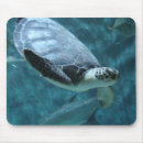 Recherche de nage tapis souris Tortue