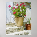 Search for red geranium posters Watercolor