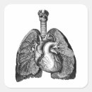 Search for lung anatomy stickers Heart