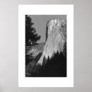 Search for el capitan White