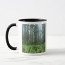 Recherche de redwood mugs Paysage