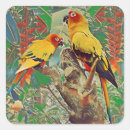 Search for pet bird stickers Jungle