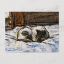 Search for cat on a bed postcards Vintage