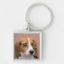 Search for serious keychains Horizontal