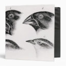 Search for evolution office supplies School