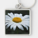 Search for daisy picture keychains Photograph