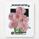 Search for bachelors electronics Vintage