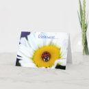 Search for careers cards New career