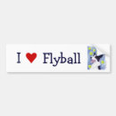 Recherche de flyball Border collie