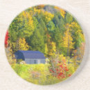 Search for fall foilage Tree
