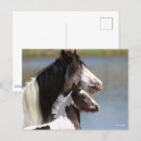 Search for vanner postcards Headshot