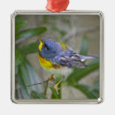 Search for americana ornaments Usa