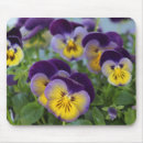 Search for pansies mousepads Garden