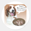 Search for springer spaniel stickers Turkey