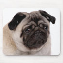 Search for amazed mousepads Funny