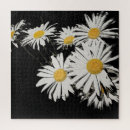 Search for daisy puzzles Sky