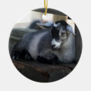 Search for goat christmas decor Animal