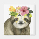 Search for sloth magnets Animal