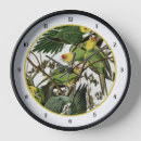 Recherche de perroquet vert horloges Nature