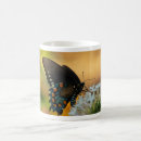 Recherche de variété tasses Papillon