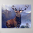 Search for glen posters Animal
