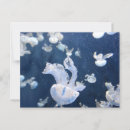 Recherche de meduse cartes postales Animal