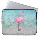 Search for animal beach electronics Bird