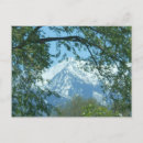 Search for spring leaves postcards Foliage