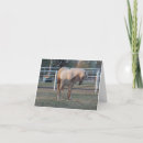 Search for horse mothers day cards Pony