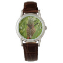 Recherche de fruits montres Ananas