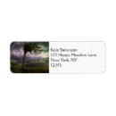 Search for wind return address labels Tree