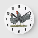 Search for chicken breeds posters Poultry