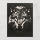 Search for black wolf cards Dog